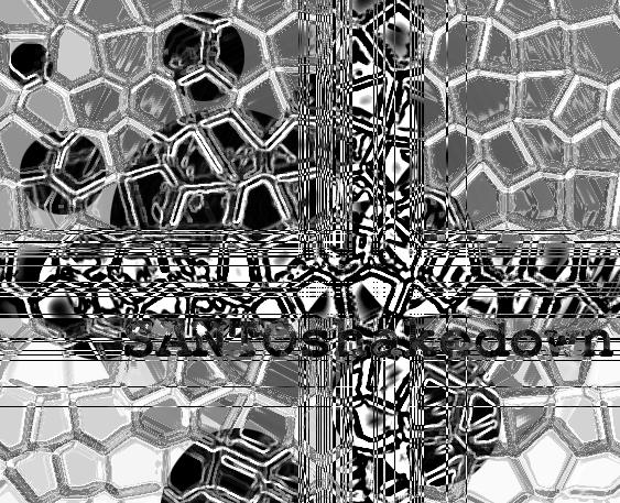 Santo Shakedown Background Cover 2, 2004